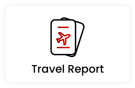 Travel Report Icon